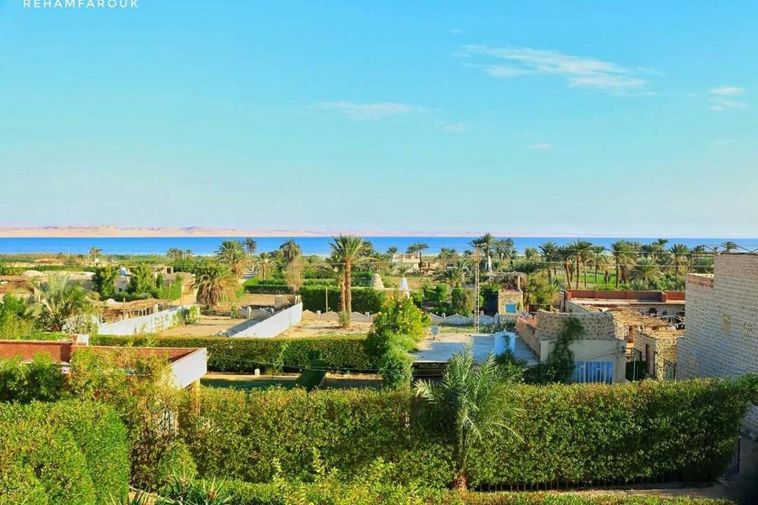 Photo of Others in Tunis Village