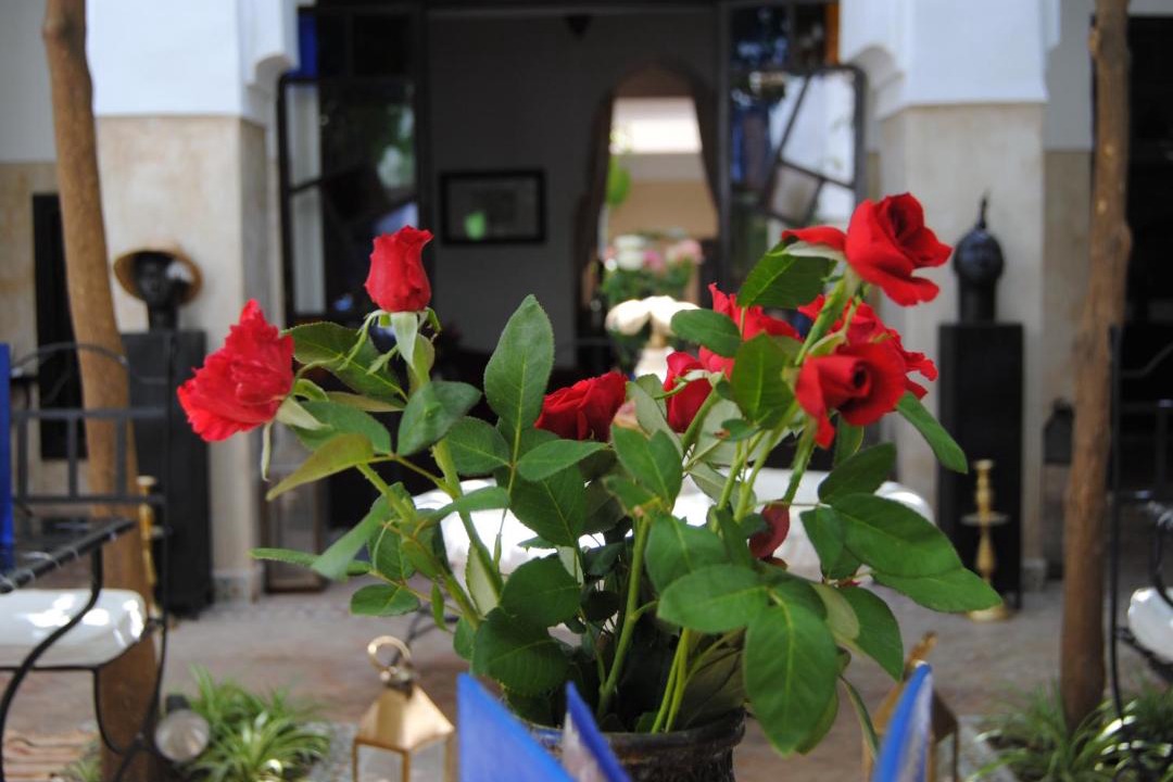 Photo of Others in Sidi Bou Amar