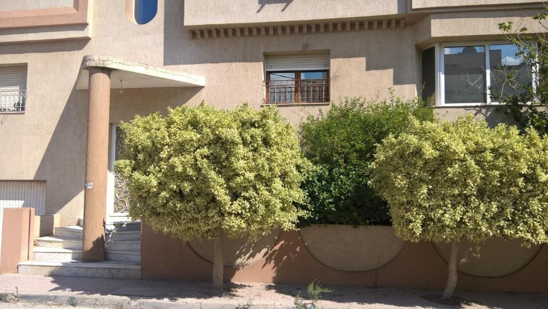 Photo of Others in Ain Zaghouan