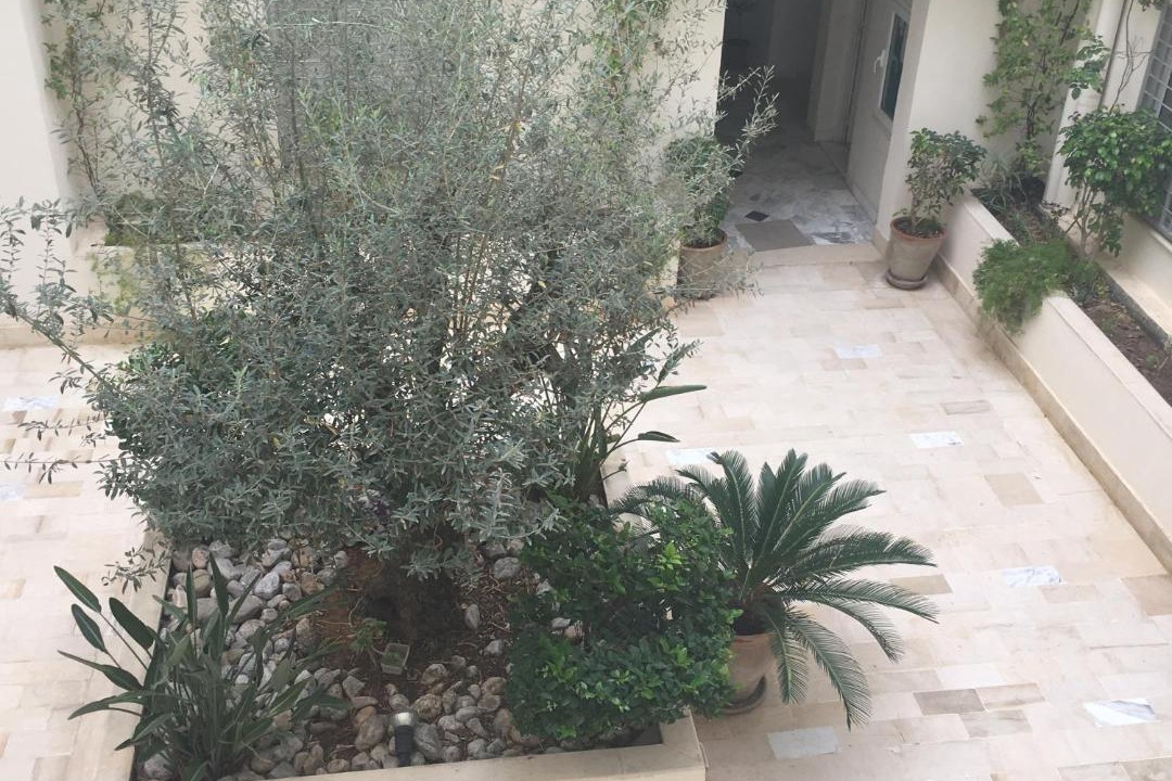 Photo of Kitchen in Ain Zaghouan