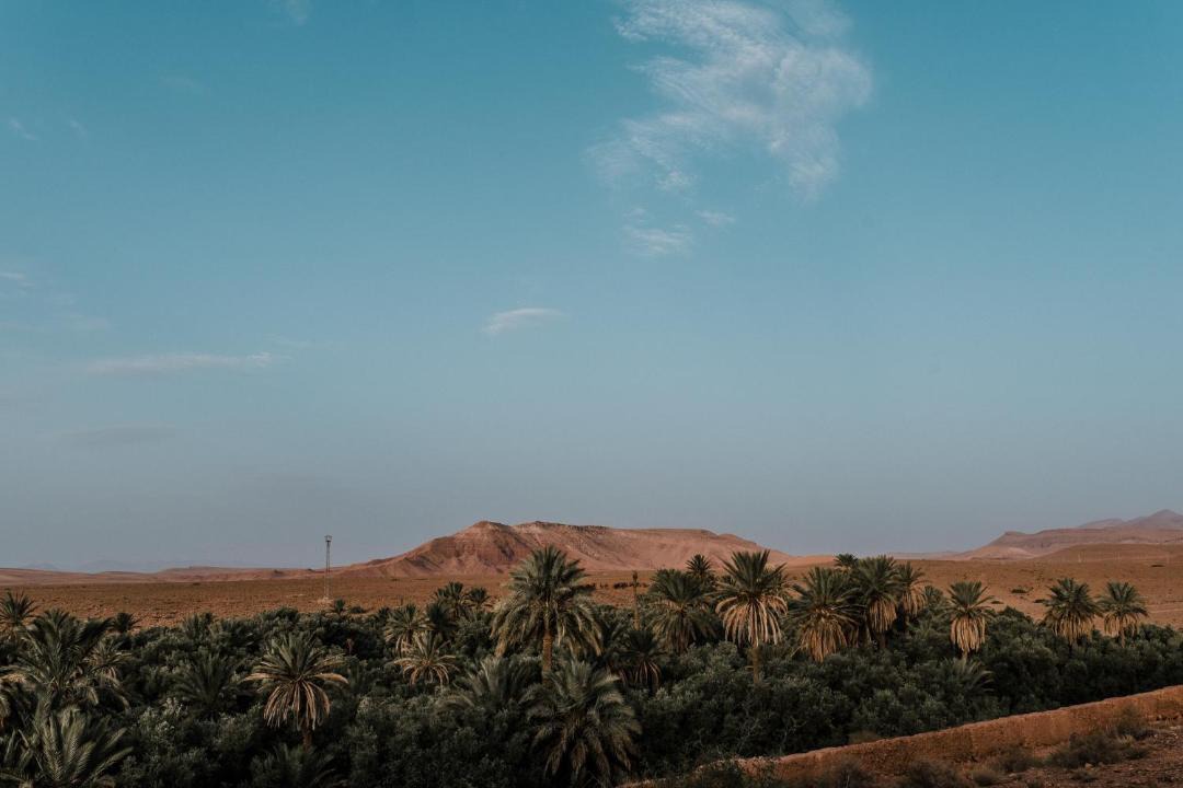 Photo of Others in Tinghir