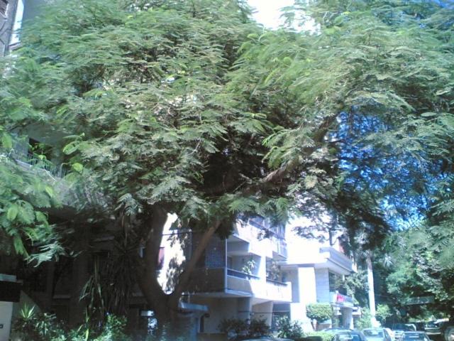 Photo of Others in Agouza