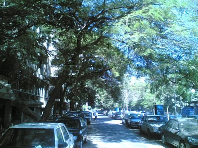 Photo of Others in Agouza