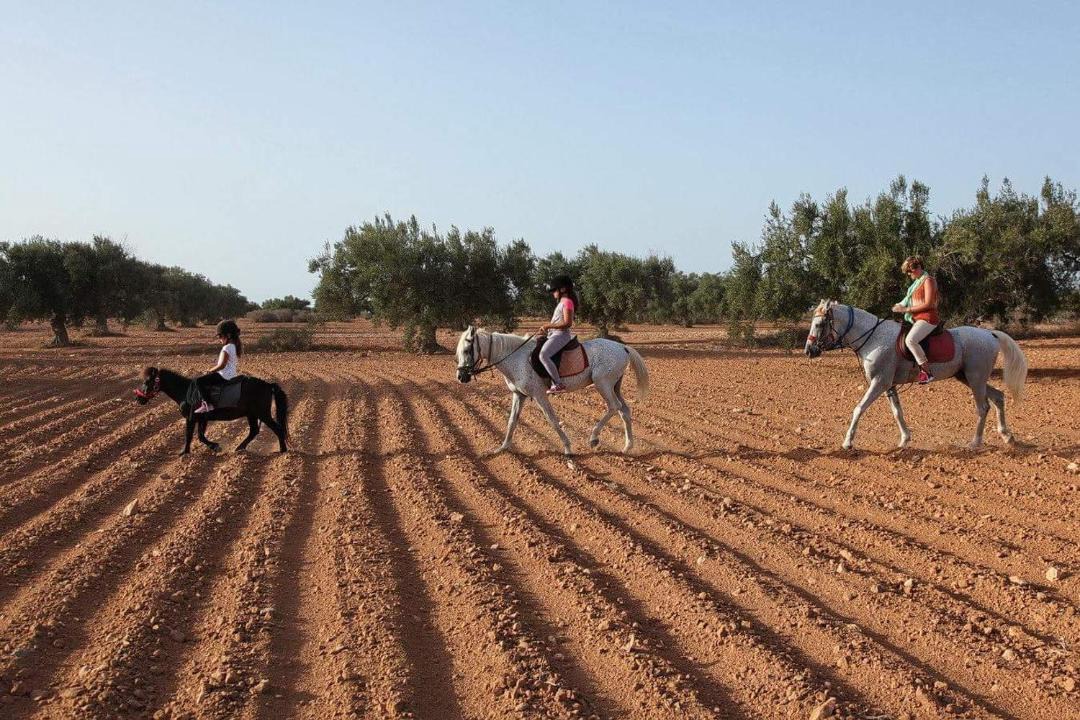 Photo of Others in Zarzis