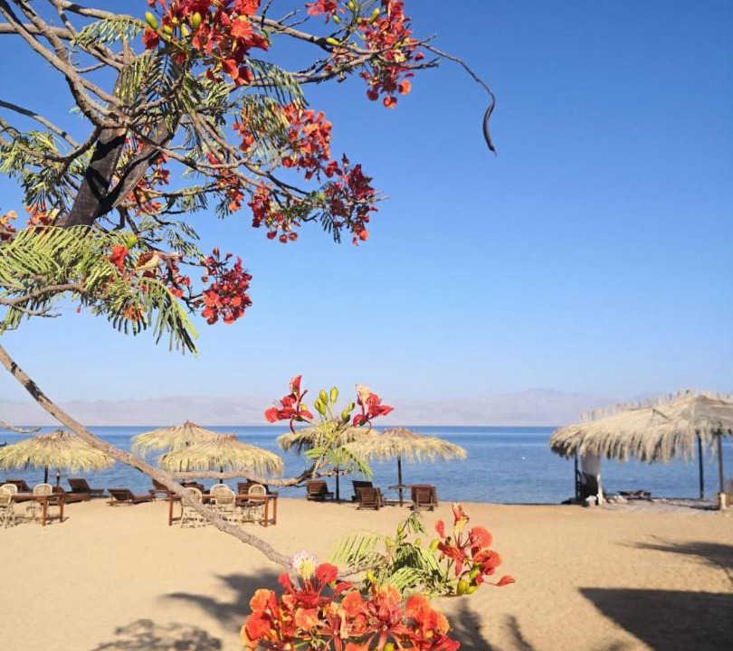 Photo of Others in Nuweiba
