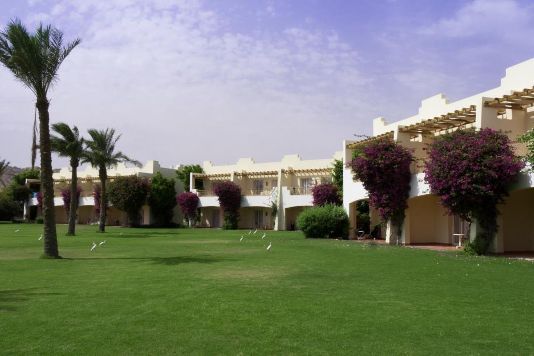 Photo of Others in Dahab