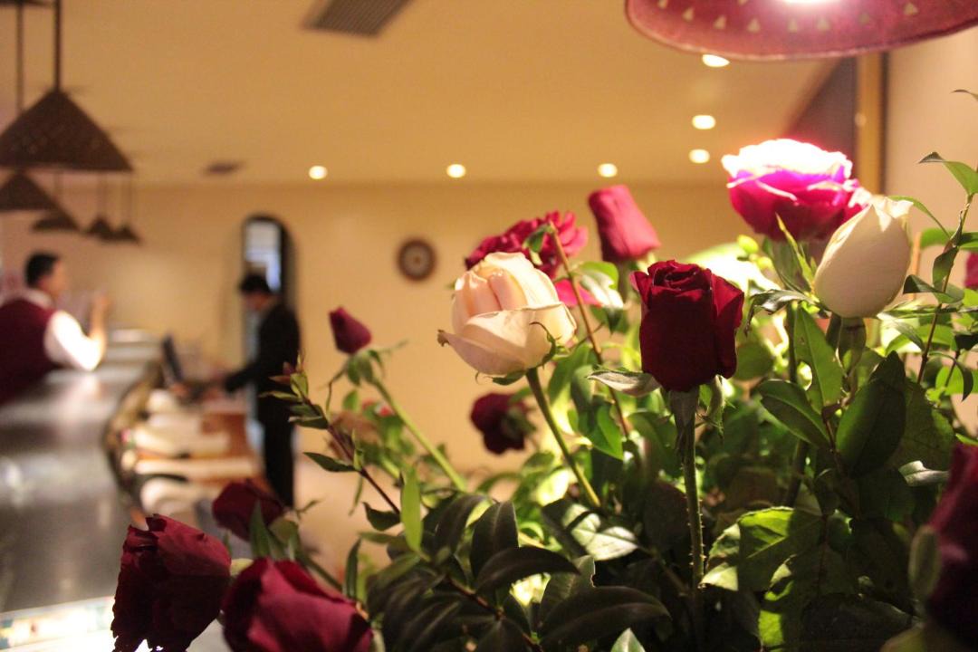 Photo of Others in Hammam Sousse