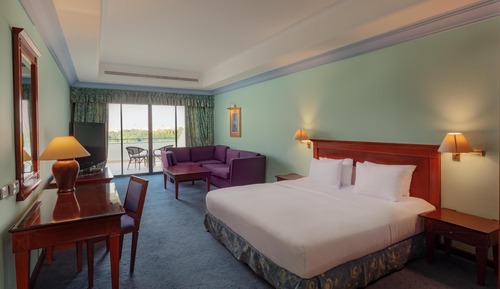 Room, 1 King Bed
