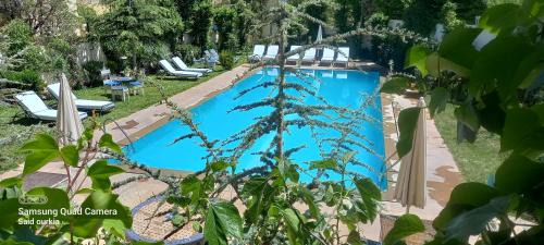 King Room with Pool View