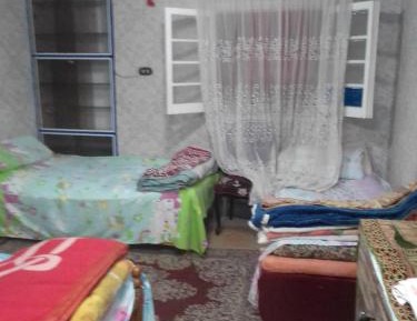 Single Bed in Dormitory Room