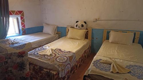 Bed in Male Dormitory Room