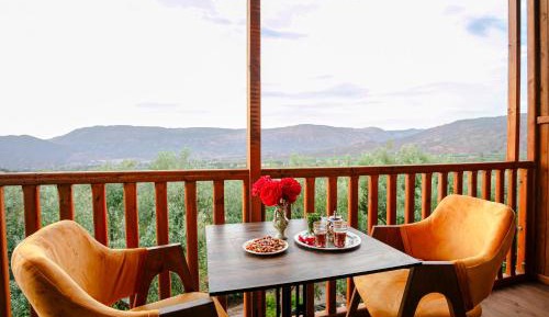 Double Room with Pool View