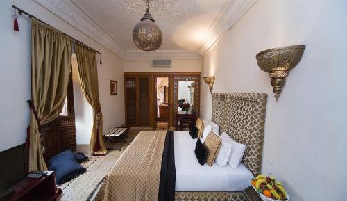 Palm Suite