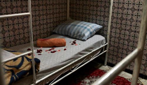 Bed in 8-Bed Mixed Dormitory Room