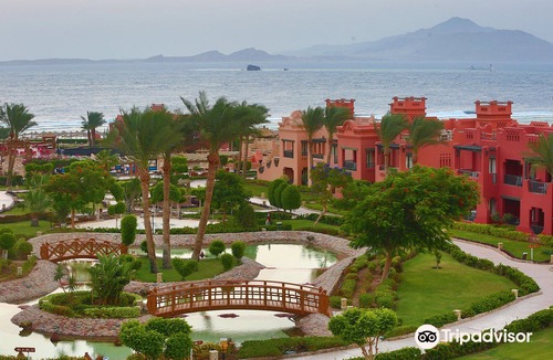 Sharm El Sheikh Hotel | Charmillion Sea Life Resort