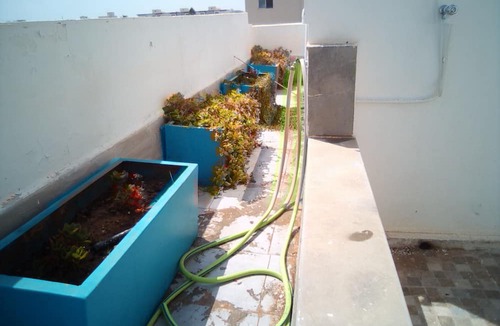 Hamma Apartment | Studio with double terrace 70m2 sea view 100m from the beach very pleasant