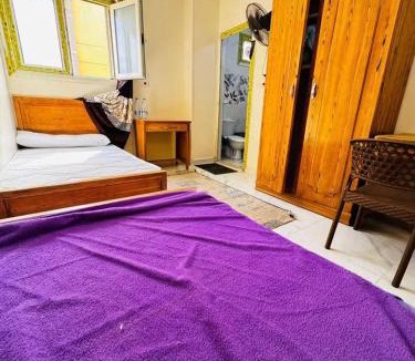 Hada'iq al-Qubbah House | Friend home