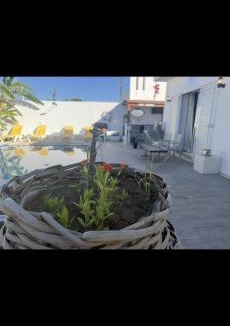 Hammam Bent Djedidi Villa | Villa S Maoui