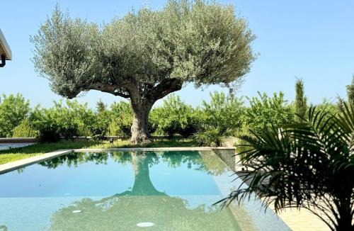 Jedaida Ski Chalet | Kenz Essia Luxury countryside escape near Tunis