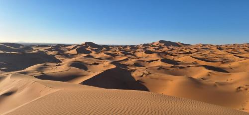Hassilabied Hotel | berber luxury camp