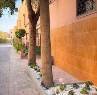 Daoudiate Hostel | Palm Hostel