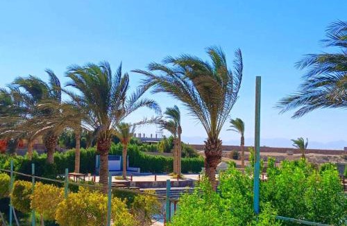 Dahar Hotel | DaVinCi hotel