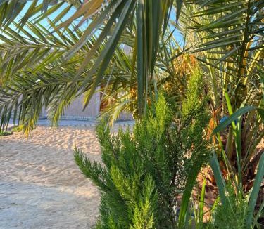 Siwa Hotel | Siwa Sand Spa Resort