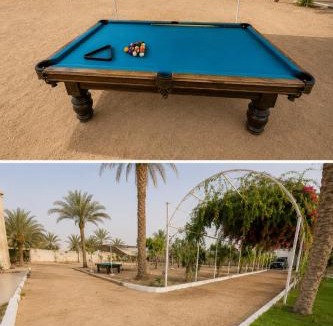 Obour City House | Palm Oasis Farm مزرعة واحة النخيل