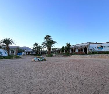 Nuweiba Other | Palm Valley camp