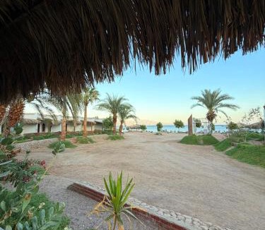 Nuweiba Other | Palm Valley camp