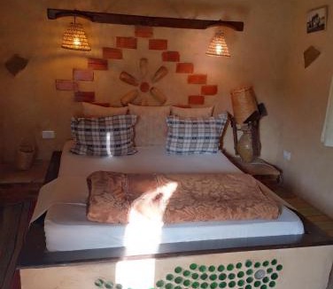 El Alia House | Le Petit Olivier