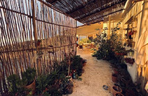 Sahel Chamali House | Dar-west