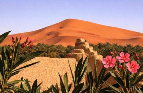 Hassilabied Bed & Breakfast | Auberge La Vallée des Dunes