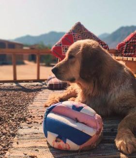 Nuweiba Resort | Relax Beach Camp