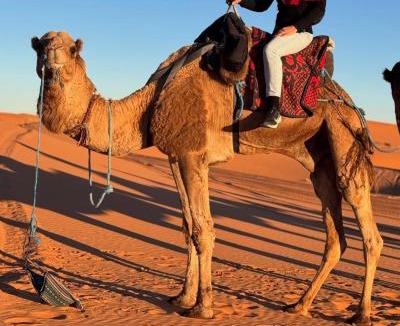 Merzouga Bed & Breakfast | Dream Land Camp