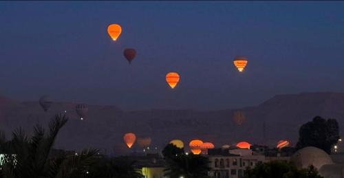 Luxor Apartment | nile shores hotel