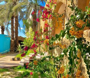 Siwa Hotel | Arkan siwa أركان سيوة