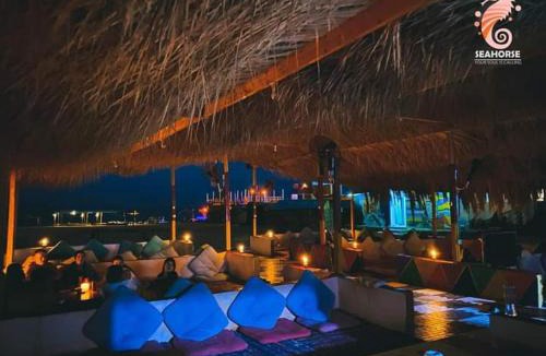 Nuweiba Other | sea horse