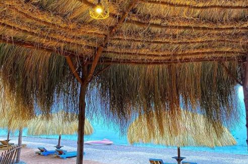Nuweiba Other | sea horse