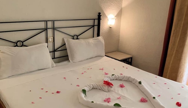 Sol Palmeras Beach - Family Hotel