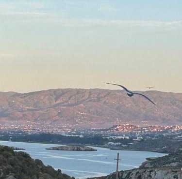 Hoceima F4 Climatisé