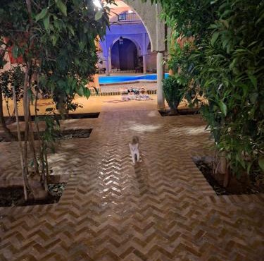 Maison Merzouga Guest House