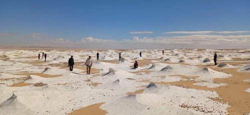 White Desert Tours In Egypt