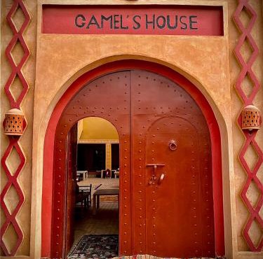 Riad camels house