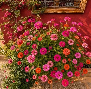 Villa lumina , Marrakech