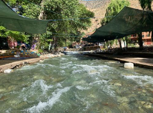 The best apartments of Ourika valley