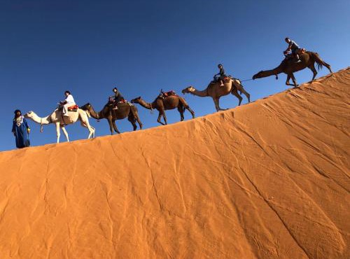 Riad Les jardins de Merzouga