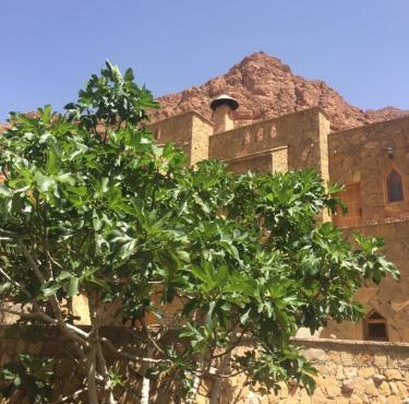 Auberge Le Festival Todra Gorge